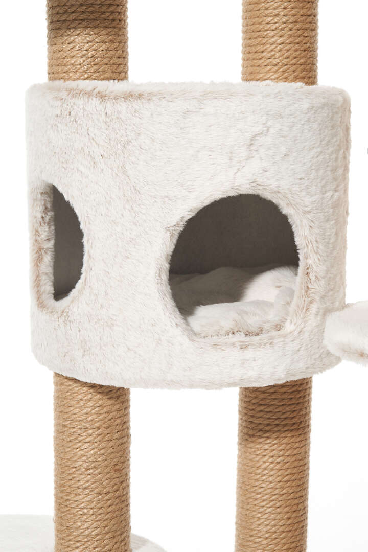 Nobby Kratzbaum Loya